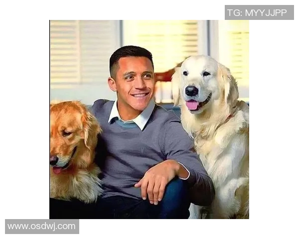 足球球星宠物狗大曝光，引发网友热议